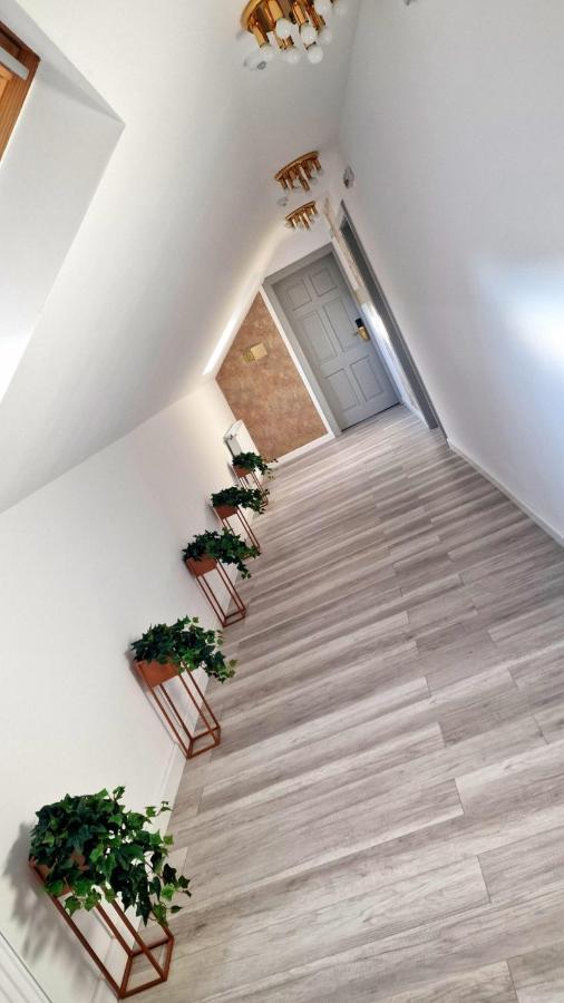 Colt De Rai Resita Bed and Breakfast Εξωτερικό φωτογραφία